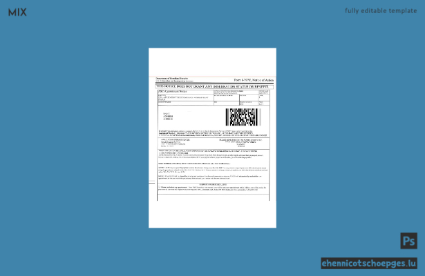 Formular I-797C der US-Einwanderungsbehörde (USCIS), Beispiel für eine Mitteilung über die getroffene Entscheidung (Vorschau)